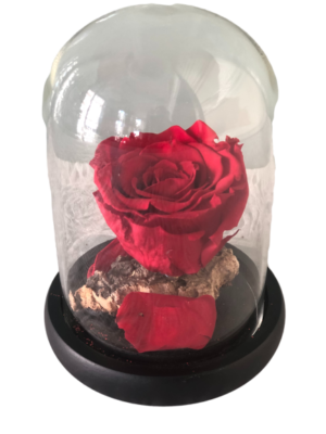 Τριαντάφυλλα Forever Roses ΣΕ ΓΙΑΛΙΝΗ ΚΑΜΠΑΝΑ 30_preview_rev_1