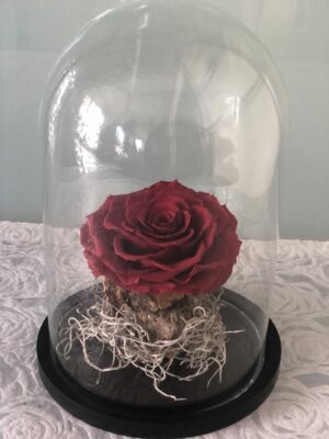Τριαντάφυλλα Forever Roses ΣΕ ΓΙΑΛΙΝΗ ΚΑΜΠΑΝΑ 35
