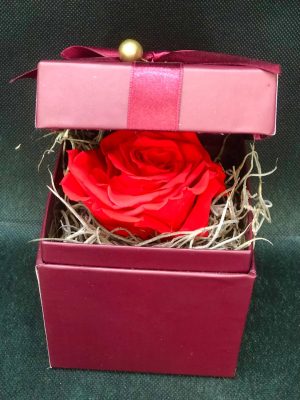 Κόκκινο FOREVER ROSES σε κουτί #505